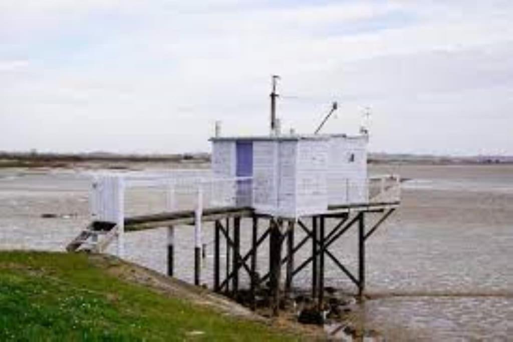 Maison Au Coeur Des Vignes Cussac-Fort-Medoc المظهر الخارجي الصورة